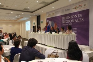 IX Reunión Regional de las Organizaciones de la Sociedad Civil