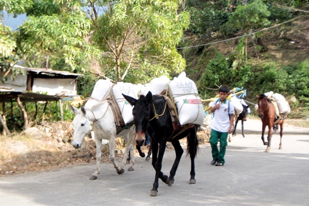 Abastecerá a almacenes de Chiapas