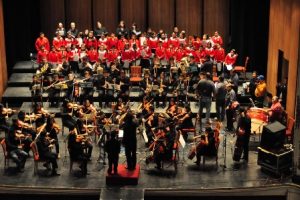 Orquesta Sinfónica Infantil y Juvenil