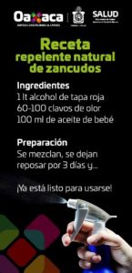 Urgen a la sociedad civil a sumarse a la lucha contra los posibles depósitos de huevecillos.