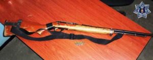 Rifle marca Marín, modelo 06, matrícula 05234226 y 10 cartuchos útiles calibre 22.