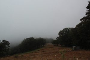 Densos bancos de niebla se pronostican en las montañas del noreste, el oriente y el su reste del país.