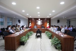 De enero a julio de 2018, se realizaron 56 sesiones del Consejo General.