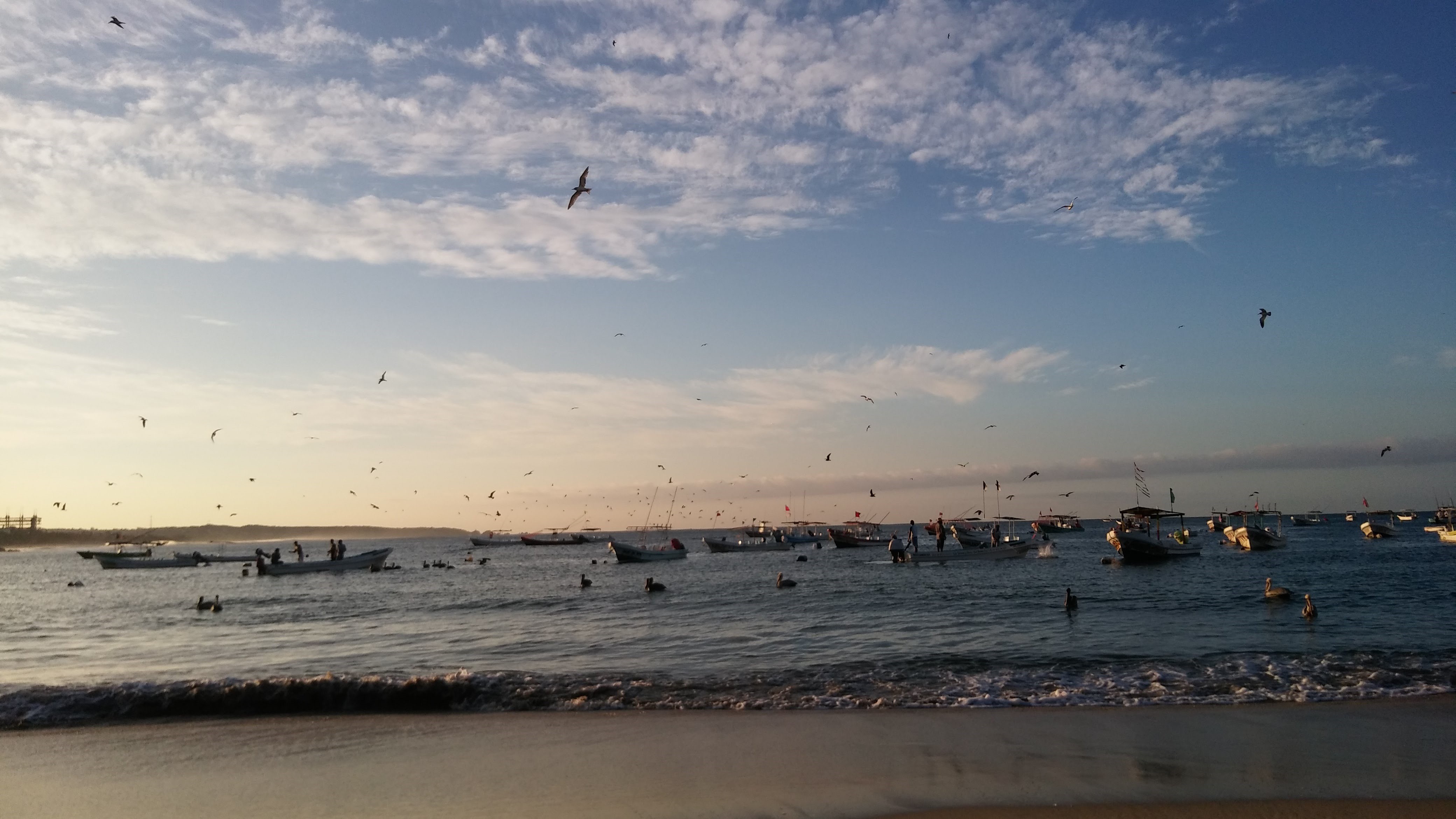 Dos playas de Puerto Escondido, Oaxaca, son riesgo sanitario: Cofepris y Samarnat
