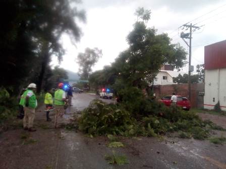 Mantiene CEPCO apoyo en siete municipios afectados por la lluvia y viento