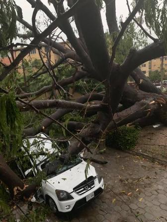 Dejan intensas lluvias caída de 30 árboles y 10 casas afectadas en la Costa de Oaxaca