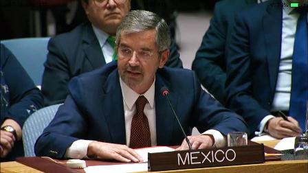 Recibe México apoyo unánime para candidatura al Consejo de Seguridad de la ONU