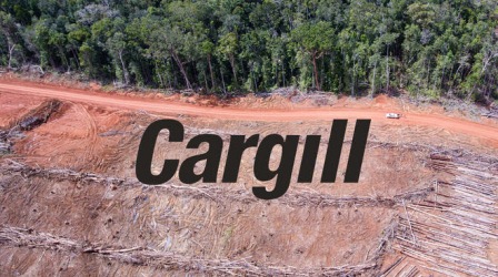 Beneficiario del fuego; Detengan al gigante de la soja Cargill: Salva la Selva