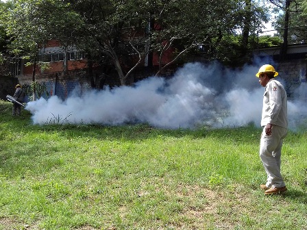 Prevenir el Dengue