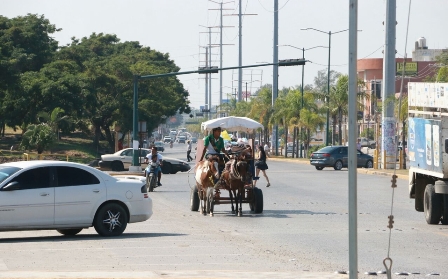 Urge terminar con el maltrato de burros, caballos y bueyes en el Estado de México
