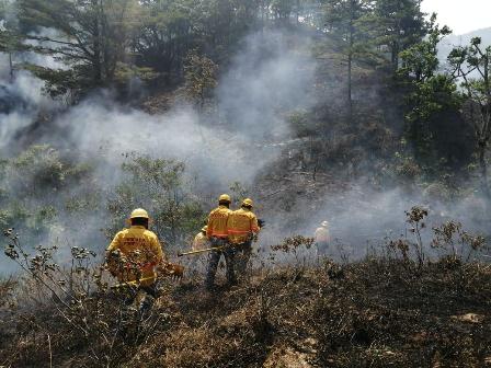 Declaran en emergencia cinco municipios por incendios forestales en Oaxaca