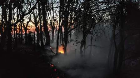 Reportan cinco personas muertas y siete desaparecidas por incendio forestal en la Mixteca