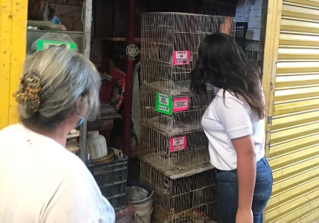 Atiende Alcaldía Municipal denuncia por presunto maltrato animal en el Mercado de Abasto