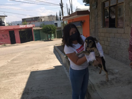 Atiende Ayuntamiento de Oaxaca de Juárez reporte de abandono de un canino