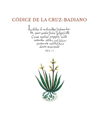 Muestran vigencia de conocimientos ancestrales con nuevo facsímil del Códice de la Cruz-Badiano