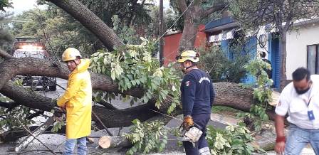 Atiende Ayuntamiento de Oaxaca 55 reportes de afectaciones por lluvia