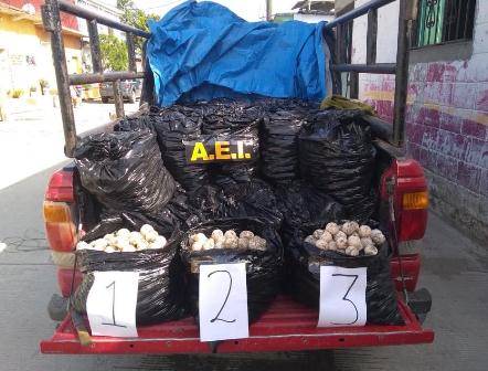 Aseguran camioneta con 25 mil huevos de tortuga, durante operativo en el Istmo