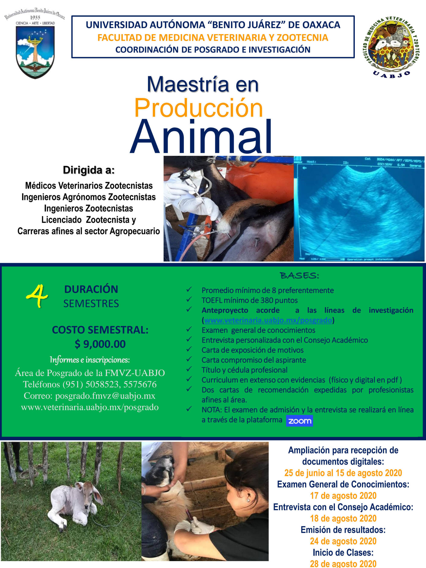 Oferta la UABJO Maestría en Producción Animal; Inscripciones abiertas hasta el 15 de agosto