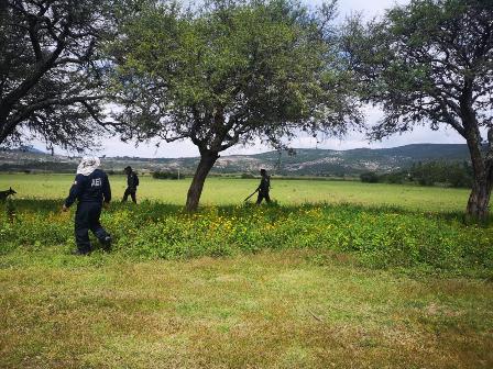 Ejecutan operativo de búsqueda de personas desaparecidas, en la región Mixteca