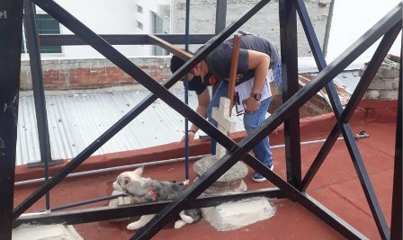Alcanza Ayuntamiento de Oaxaca objetivos para mejorar calidad de vida de animales domésticos