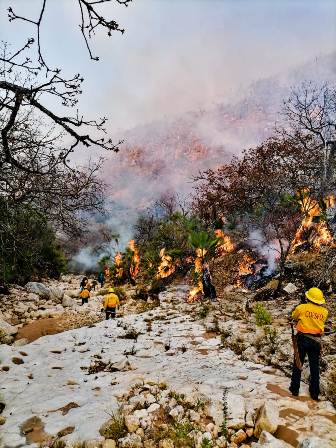 Controlan incendio forestal en Magdalena Jaltepec, Oaxaca