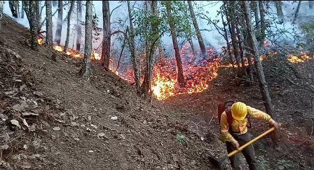 Declaran 13 municipios en emergencia por incendios forestales en Oaxaca