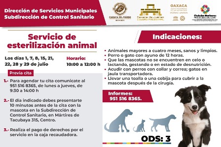 Extiende Ayuntamiento de Oaxaca servicio de esterilización animal durante el mes de julio