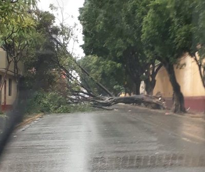 Activan Plan Estatal de Auxilio a la Población por fuertes lluvias en Oaxaca de Juárez