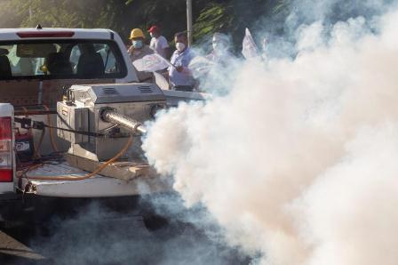 Reportan 153 casos de dengue transmitidos por el mosco Aedes aegypti y dos defunciones