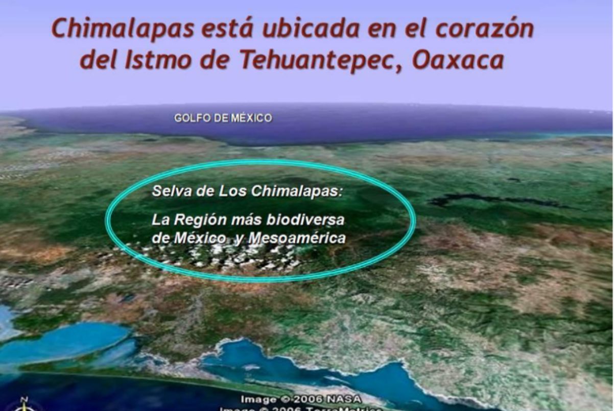 Comunicado del Comité Nacional para la Defensa y Conservación de los Chimalapas a la Suprema Corte de Justicia de la Nación por la Controversia Constitucional por invasión a los territorios de los pueblos zoques de Santa María y San Miguel Chimalapa de Oaxaca, alentada por los gobiernos de Chiapas