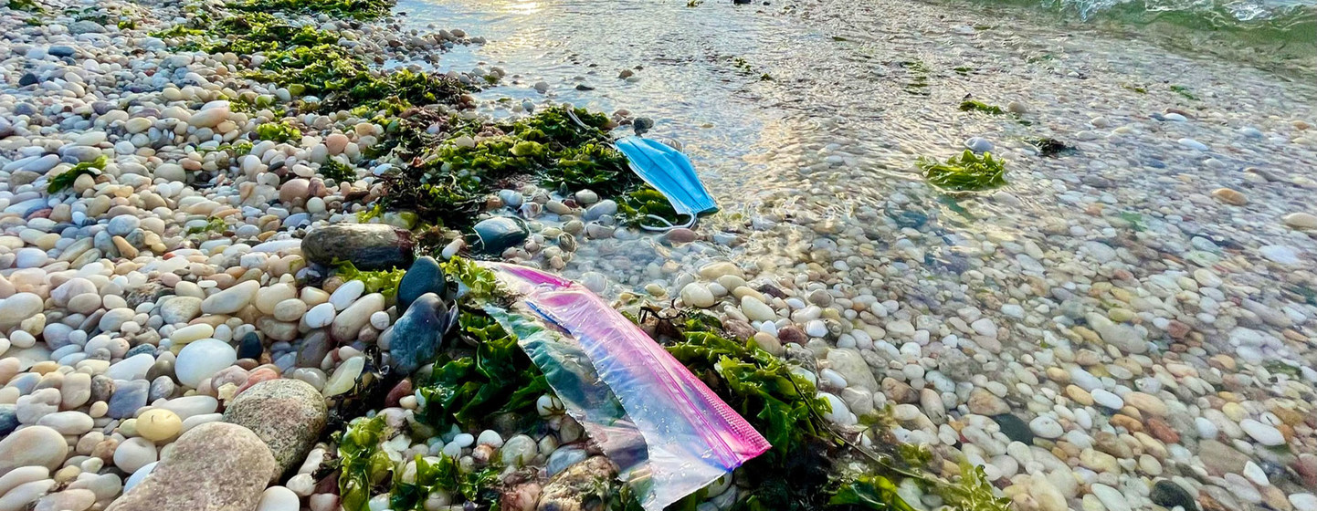 El plástico, que ya ha atragantado nuestros océanos, terminará por asfixiarnos a todos si no actuamos rápidamente