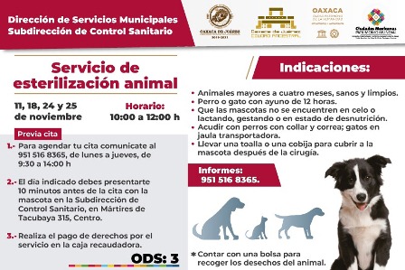 En noviembre, Ayuntamiento de Oaxaca de Juárez ofrecerá servicio de esterilización animal