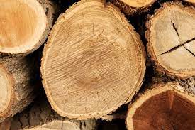 Aseguran madera irregular