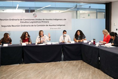 Avalan comisiones armonización de leyes en favor de los pueblos y comunidades afromexicanas