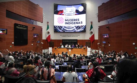 Debe Estado mexicano proteger a mujeres indígenas de cualquier forma de violencia, demandan en el Senado