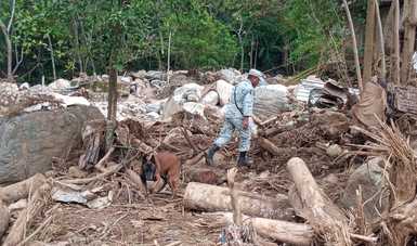 En Oaxaca, Guardia Nacional intensifica búsqueda de posibles víctimas de tormentas provocadas por Huracán Agatha