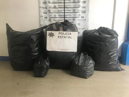 Decomisa más de 58 kilogramos de marihuana en San Pedro Mixtepec, Oaxaca