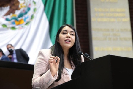 Impulsarán agenda azul durante lo que resta de la Sexagésima Quinta Legislatura: Dávila Ramírez
