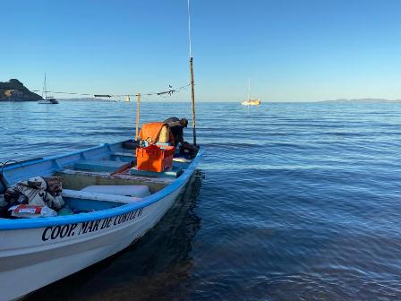 Arrancan actividades del Proyecto de Gestión Sostenible de los Mares Mexicanos