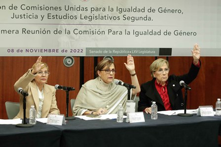 Comisión para la Igualdad de Género