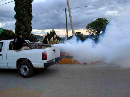 Oaxaca, noveno lugar a nivel nacional por casos de dengue; 480 casos confirmados por laboratorio