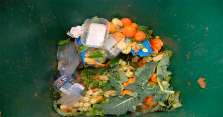 Promueven senadores legislación para aprovechar residuos alimenticios seguros para consumo humano