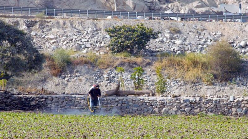 Actividad minera en Perú pone en riesgo la salud de diez millones personas por envenenamiento del agua