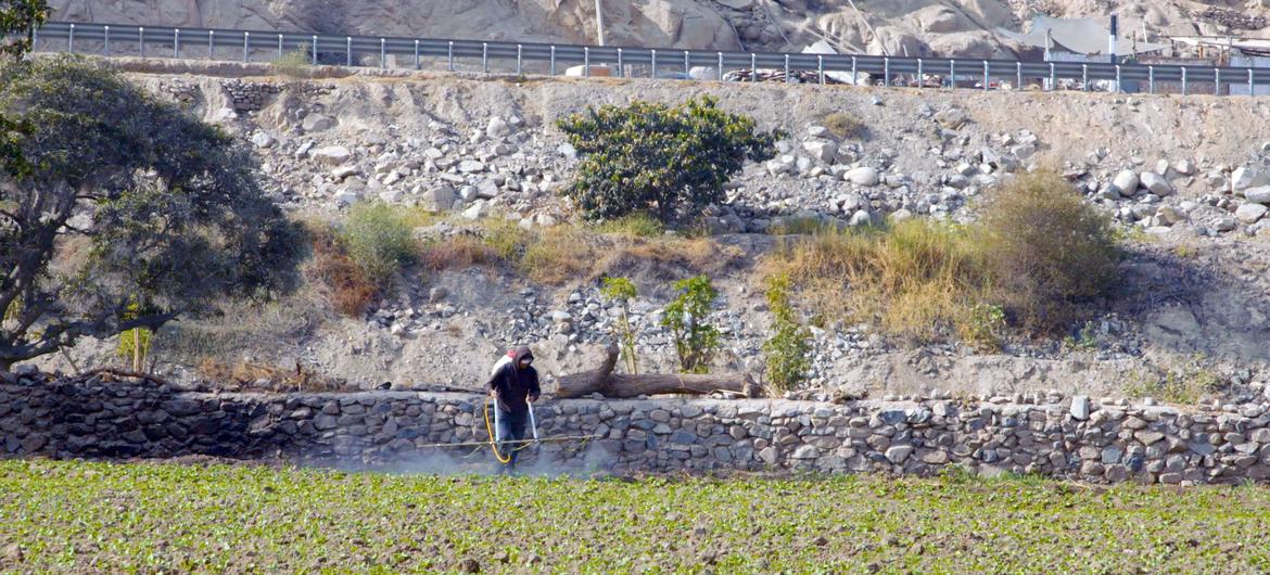 Actividad minera en Perú pone en riesgo la salud de diez millones personas por envenenamiento del agua