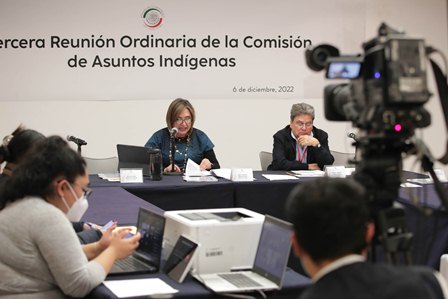 Avalan en Comisión que indígenas y afromexicanas cuenten con intérprete en asistencia jurídica