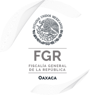 Incinera FGR-Oaxaca más de una tonelada de cocaína