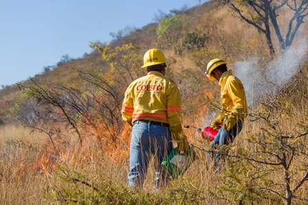 Suman Coesfo e INAH esfuerzos para prevenir que incendios afecten Zona Arqueológica de Monte Albán