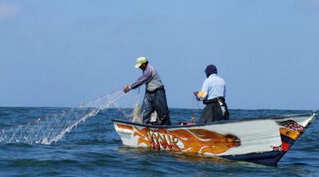 Demandan en el Senado plan emergente para reestructurar créditos de productores pesqueros