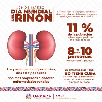 Exhorta Servicios de Salud de Oaxaca cuidado de los riñones para evitar enfermedades renales crónicas