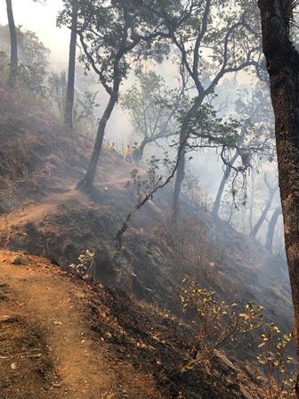 Notifican control al 100% de incendio en Etla: Coesfo